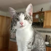Photo of Albie