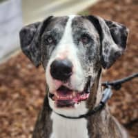 Photo of 🎭 Wednesday 6534 🎭