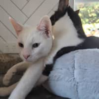 Photo of Ferdi 💙💙