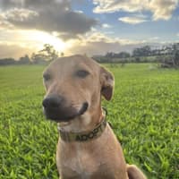 Photo of Mash