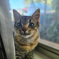 Photo of Kiara