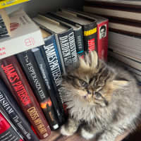 Photo of Beef Wellington