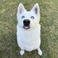 Photo of Heidi