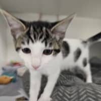 Photo of Windy