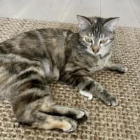 Photo of Mia 