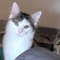 Photo of Dotty