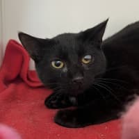 Photo of Madeline