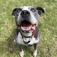 Photo of Tank