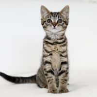 Photo of Milly