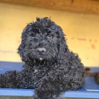 Photo of Prince Edward 