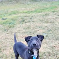 Photo of Orion