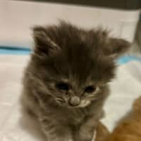 Photo of Binx Clarke