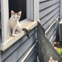 Photo of Verity & Solace