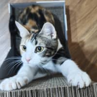 Photo of Tashi