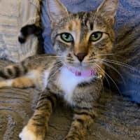 Photo of Willow