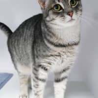 Photo of Harriet Sta013265