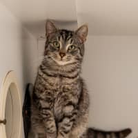 Photo of Bunny Rabbitt