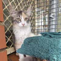 Photo of Ella! ❤️