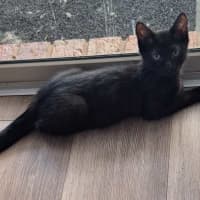 Photo of Jack