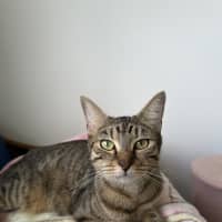 Photo of Mooncake