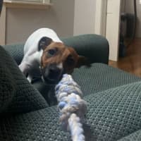 Photo of Milly