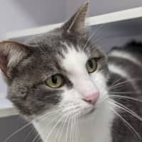 Photo of Frank 