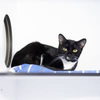 Photo of Kenelope