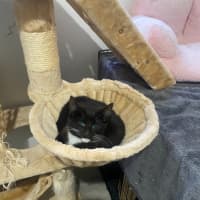 Photo of Astrid & Nova