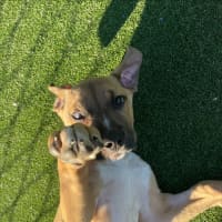 Photo of Cloud Imp 1722