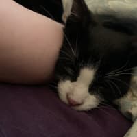 Photo of Maggie