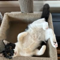 Photo of Swirl