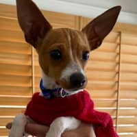 Photo of Pablo