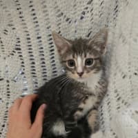 Photo of Maddox