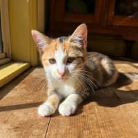 Photo of Lottie & Cindy 🌺🌺