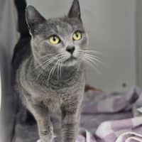 Photo of Delilah