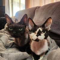 Photo of Diesel & Maggie