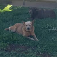 Photo of Brandylicious