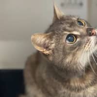 Photo of Jeffrey