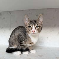 Photo of Gary & Harriet 