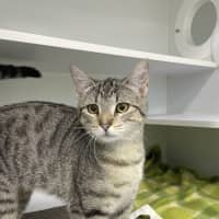 Photo of Kath (Bonded To Kelly)