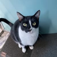 Photo of Biggie