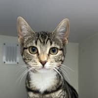 Photo of Edith