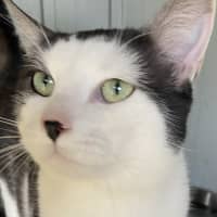 Photo of Neo