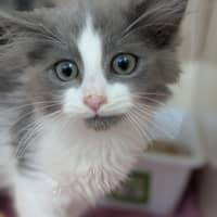 Photo of Dr Bojangles
