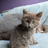 Photo of Storm