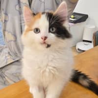 Photo of Bingo