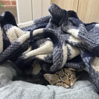 Photo of Channing 💙