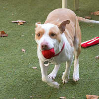 Photo of Darla