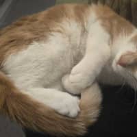 Photo of Bingo