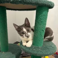 Photo of Jemima 